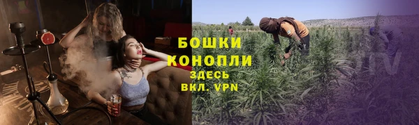 дживик Дмитриев
