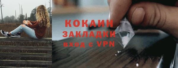 дживик Дмитриев