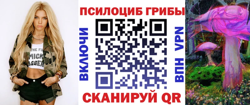 Купить где  Орёл  Псилоцибиновые грибы GOLDEN TEACHER 